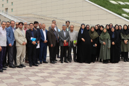 اسلایدر-یوسفی