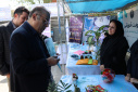 برگزاری غرفه معاونت آموزشی دانشگاه علامه طباطبائی در جشن ورودی‌های جدید